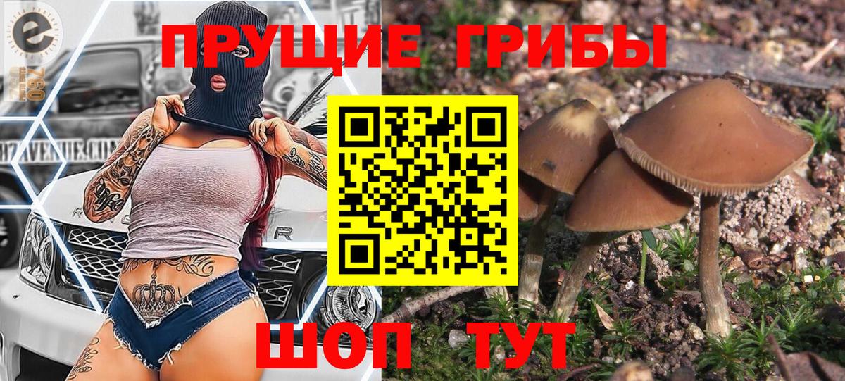 цены наркотик  Галлюциногенные грибы Psilocybine cubensis  Вход с VPN  Самара 