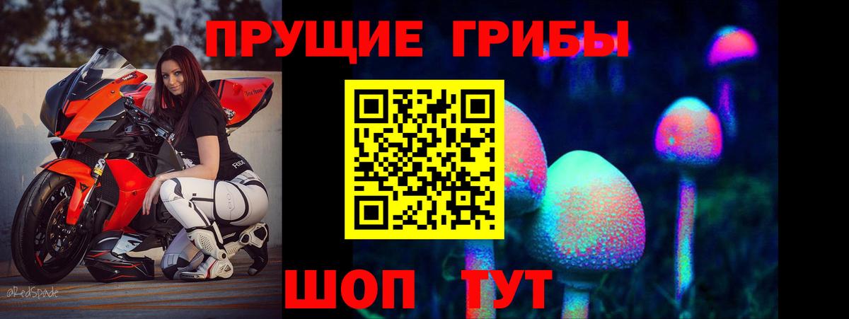 Галлюциногенные грибы Psilocybine cubensis Самара