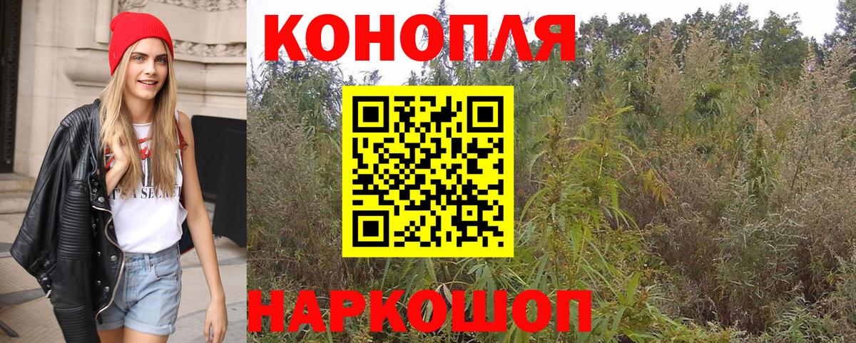 Каннабис план Самара